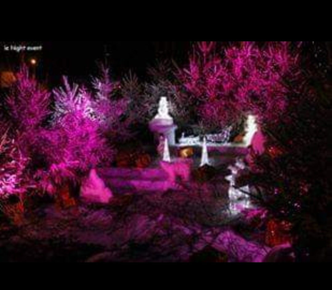 Réalisation Ref 69270600560467.53907254 - LENIGHT : organisation, installation, animation de soirée et ambiance club