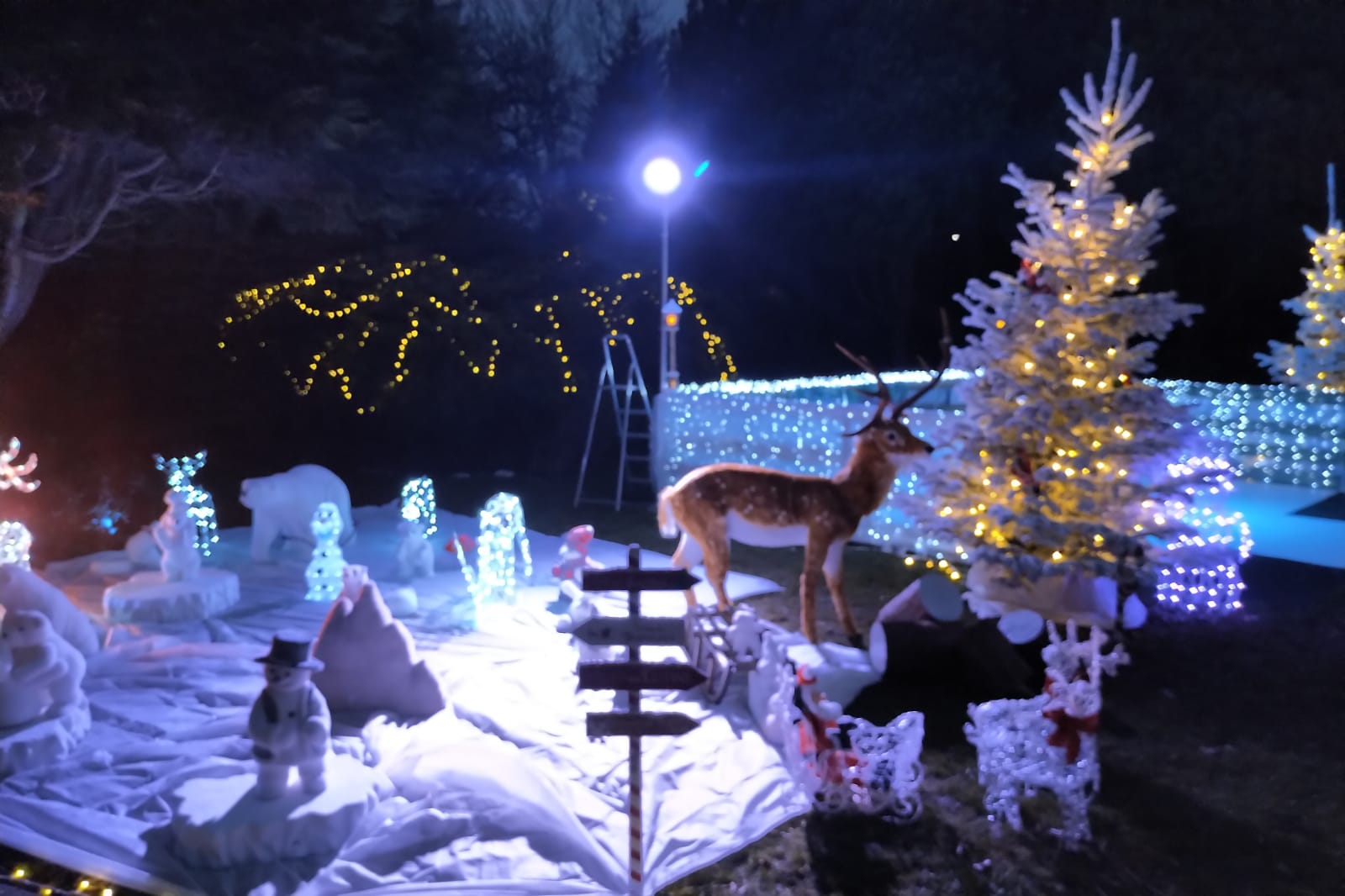 Réalisation Ref 69270636d46786.99304239 - LENIGHT : organisation, installation, animation de soirée et ambiance club